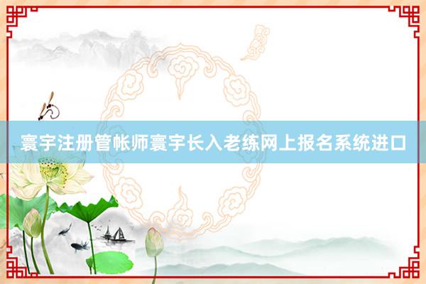 寰宇注册管帐师寰宇长入老练网上报名系统进口